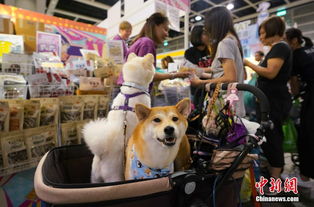 香港优质宠物用品展开幕