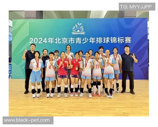 北京排球队速度之快令人惊叹大满贯点评展现团队实力与潜力