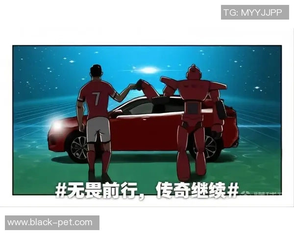广州排球队逆袭世界杯的传奇之路与背后故事揭秘