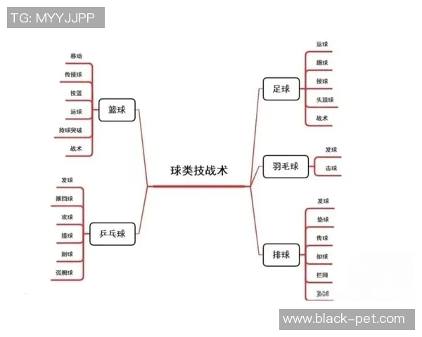 成都篮球队进攻体系解析：战术运用与团队配合的深度剖析
