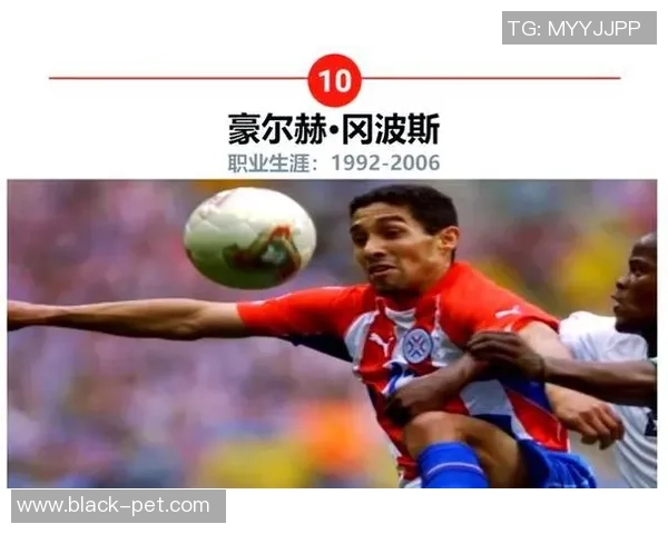 足球明星的辉煌历程与成就解析精彩瞬间回顾与未来展望